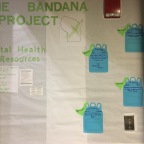 The Bandana  Project
